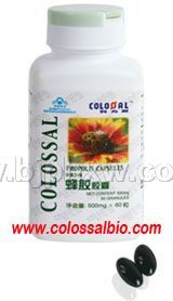 國(guó)食健字 蜂膠——會(huì)銷保健品招商