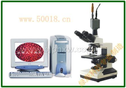 2010新款一滴血檢測儀——會(huì)銷保健品招商