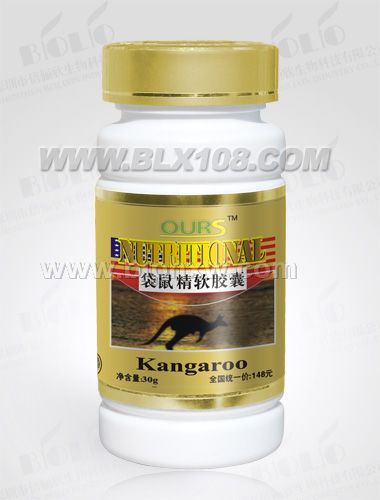 澳爾斯--袋鼠精