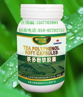 國家支持項目茶多酚軟膠囊
