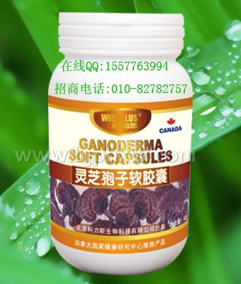 國家支持項目靈芝孢子粉膠囊