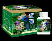 藍(lán) 莓 軟 膠 囊