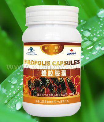 全國含量最高的蜂膠產(chǎn)品——蜂膠膠囊