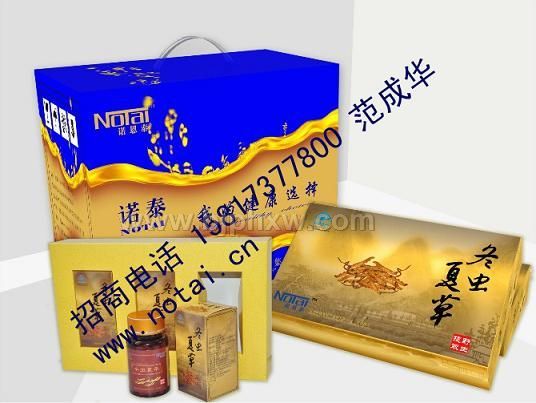 冬蟲夏草膠囊補腎精品