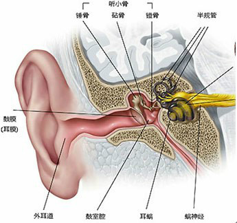 醫(yī)療機(jī)械助聽器