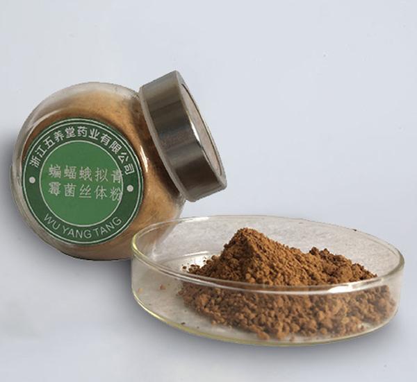 蝙蝠蛾擬青霉菌絲體粉（發(fā)酵蟲(chóng)草菌絲體粉）（浙江五養(yǎng)堂藥業(yè)有限公司）