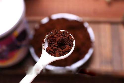 藍帽破壁靈芝孢子粉