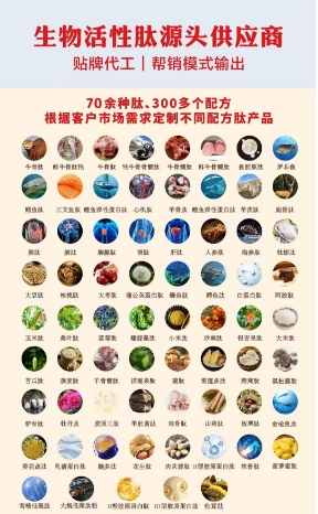 生物活性肽源頭供應(yīng)商