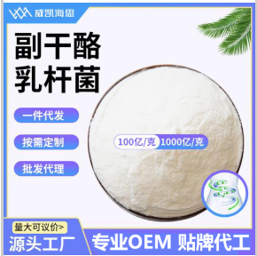 副干酪乳桿菌
