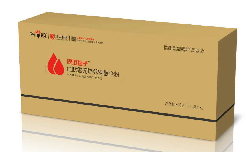 法爾瑪  欣邁茵子